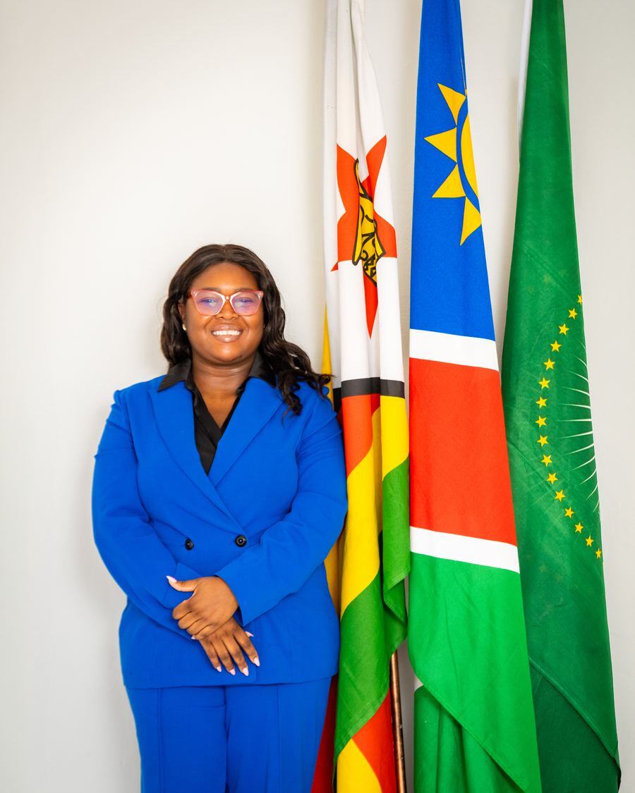 Diplomatic portrait photography Harare