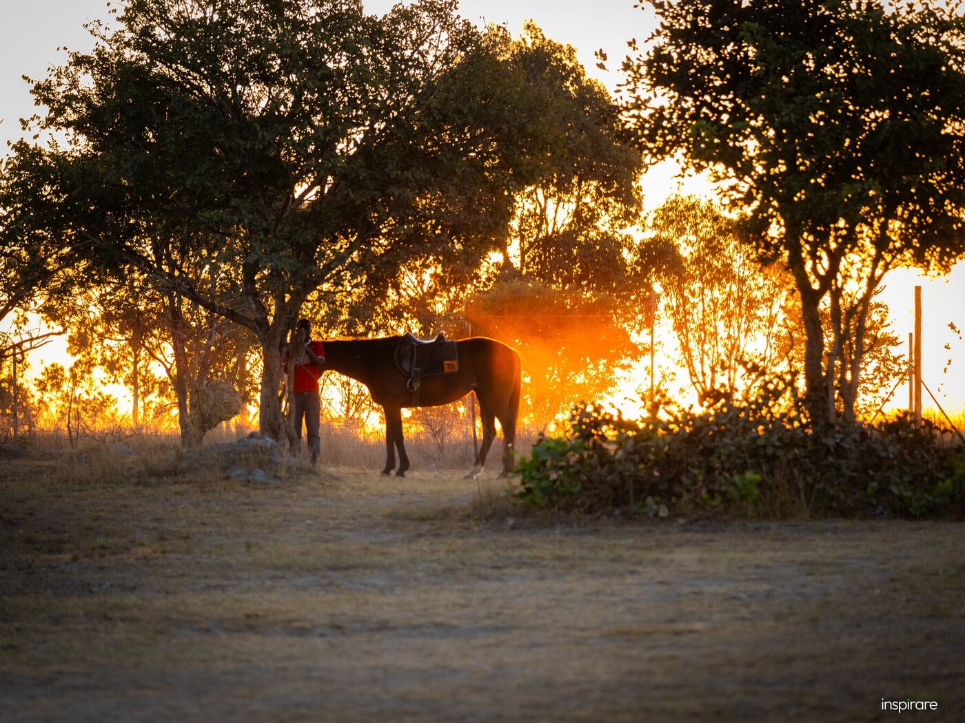 Horseback riding activity photography Zimbabwe